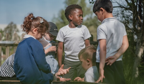 Summer (1) WPA Newsletter 2024